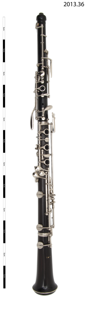 Image of oboe; case (general & multipurpose)